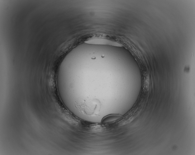 X0000093770616200711061136