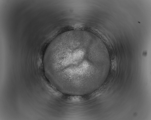 X0000093770618200711061136