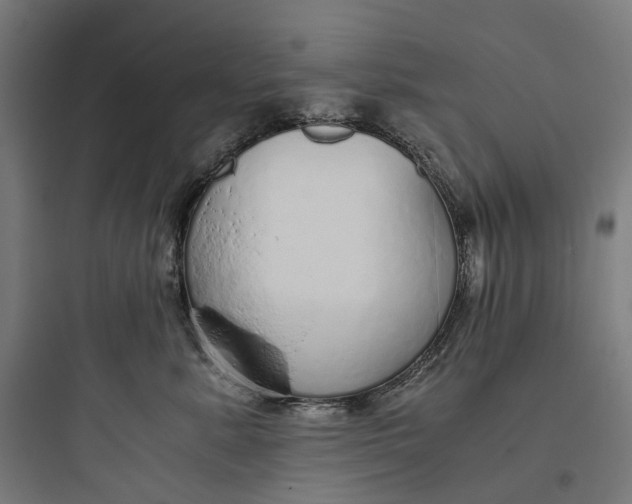 X0000093770619200711061136