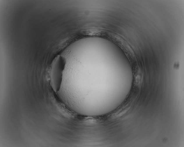 X0000093770620200711061136