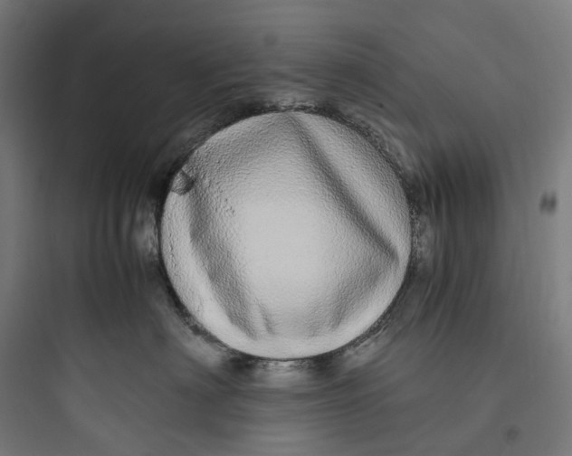 X0000093770622200711061136