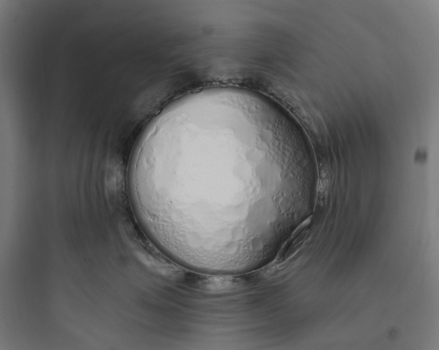 X0000093770623200711061136