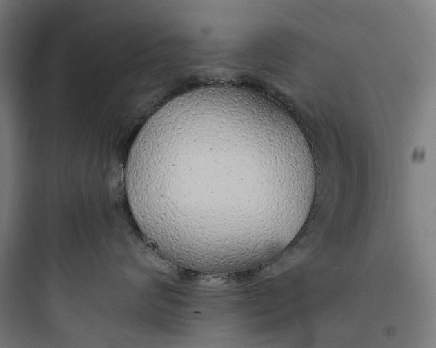 X0000093770624200711061136