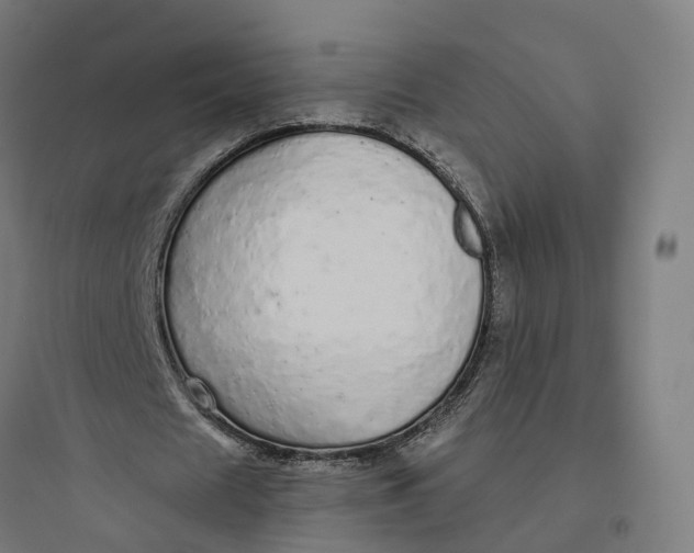 X0000093770625200711061135