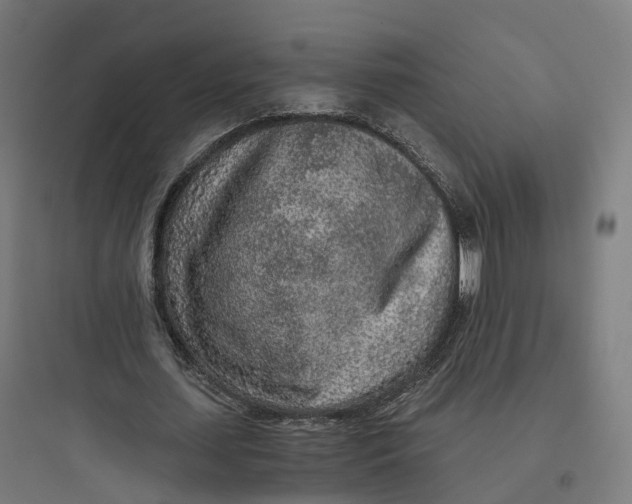 X0000093770627200711061135