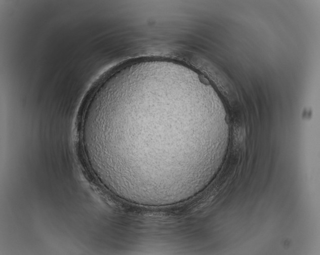 X0000093770628200711061135