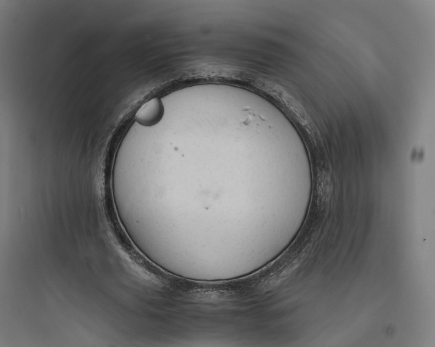 X0000093770629200711061135