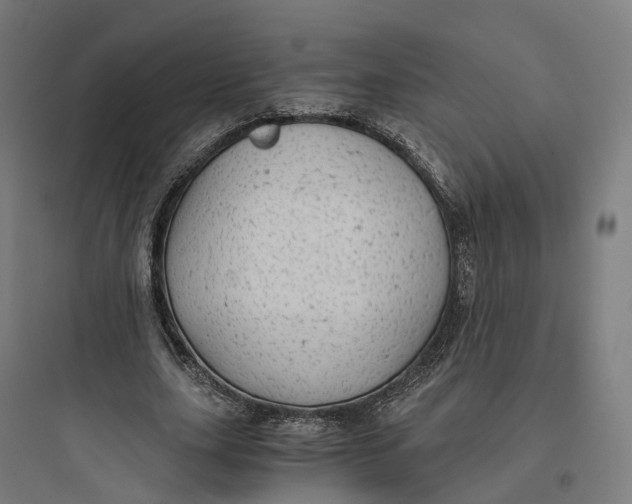 X0000093770631200711061135