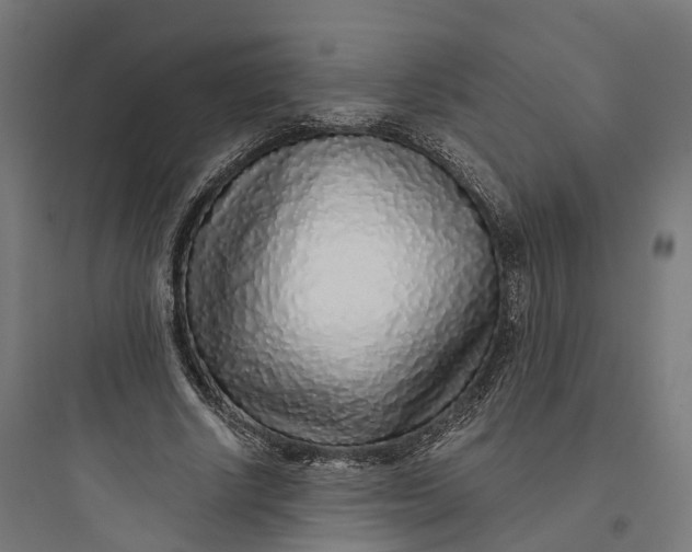 X0000093770634200711061135