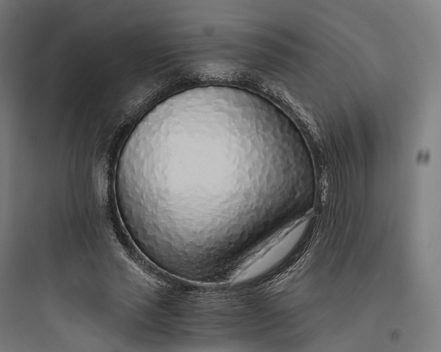 X0000093770637200711061135