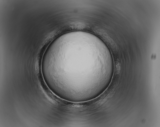 X0000093770638200711061135