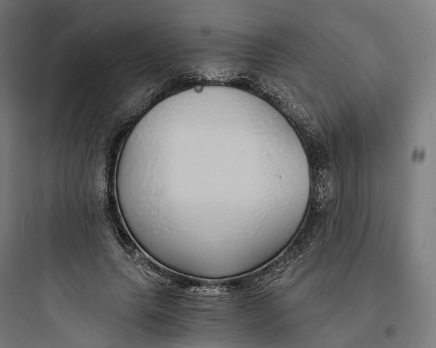 X0000093770639200711061135