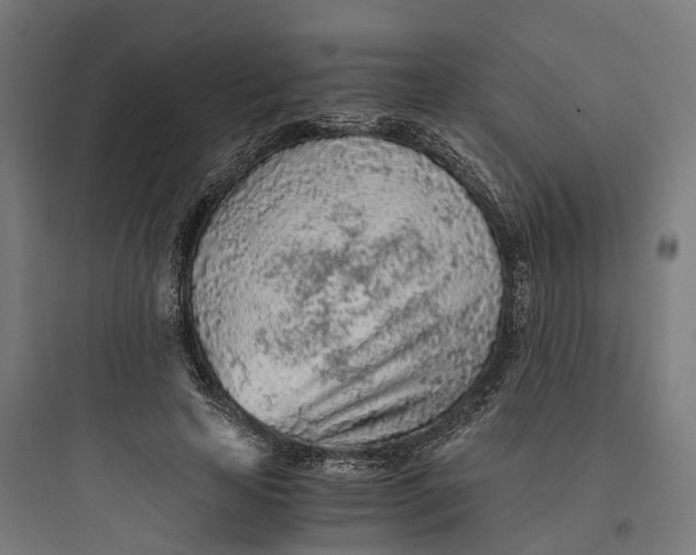 X0000093770641200711061135