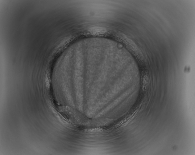 X0000093770644200711061135