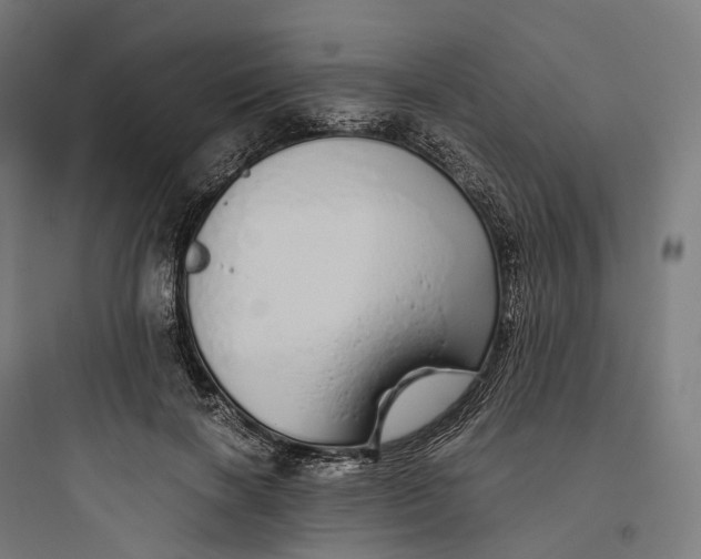 X0000093770646200711061135