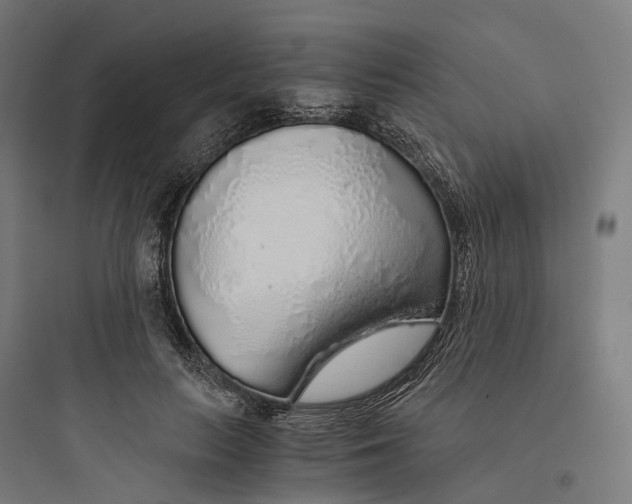 X0000093770647200711061135