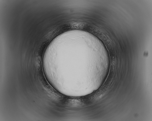 X0000093770649200711061135