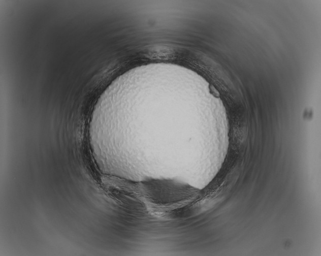 X0000093770652200711061135