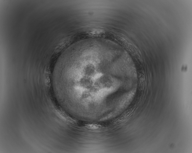 X0000093770654200711061135