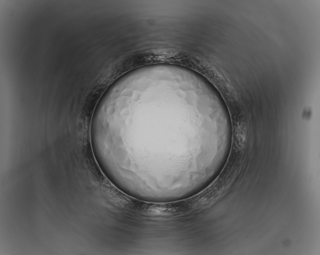 X0000093770657200711061135