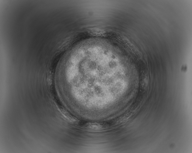 X0000093770658200711061135