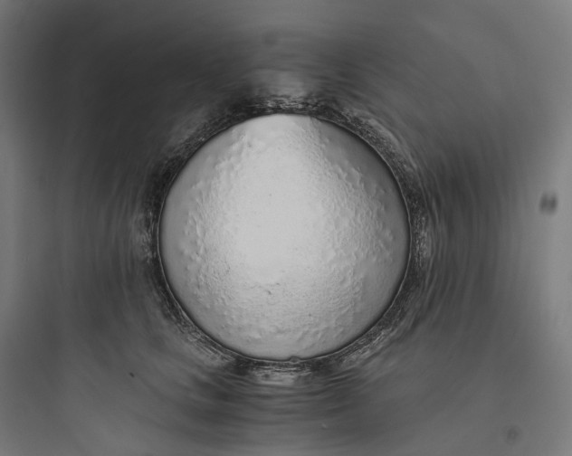 X0000093770661200711061135