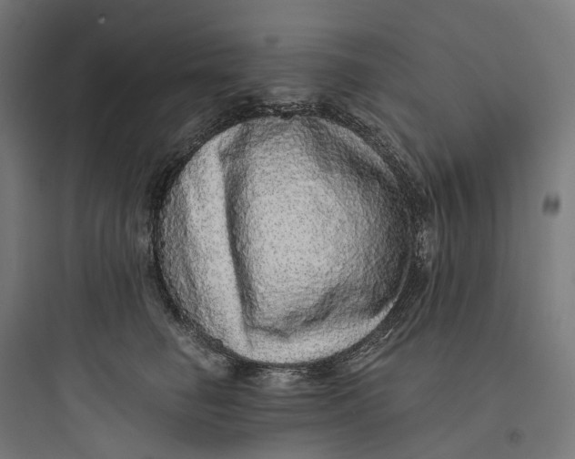 X0000093770662200711061135