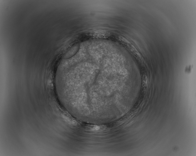 X0000093770663200711061135