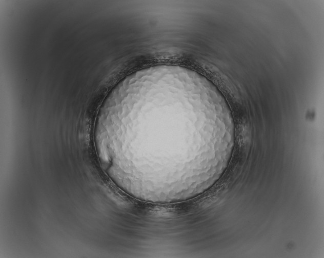 X0000093770664200711061135