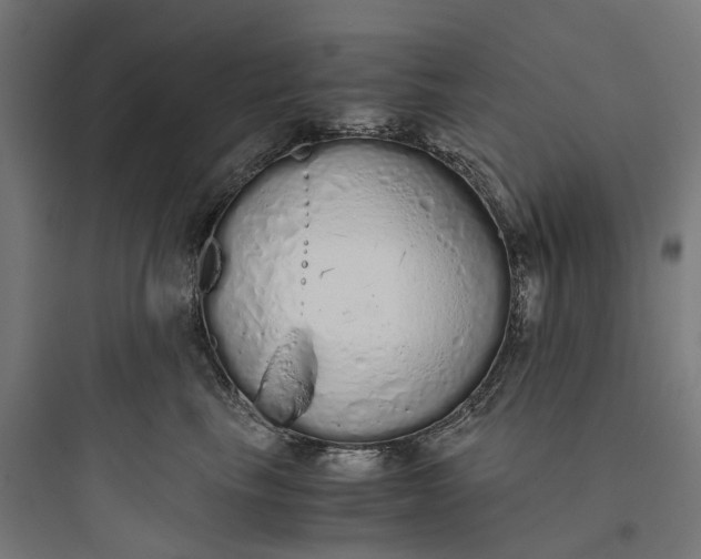 X0000093770665200711061135