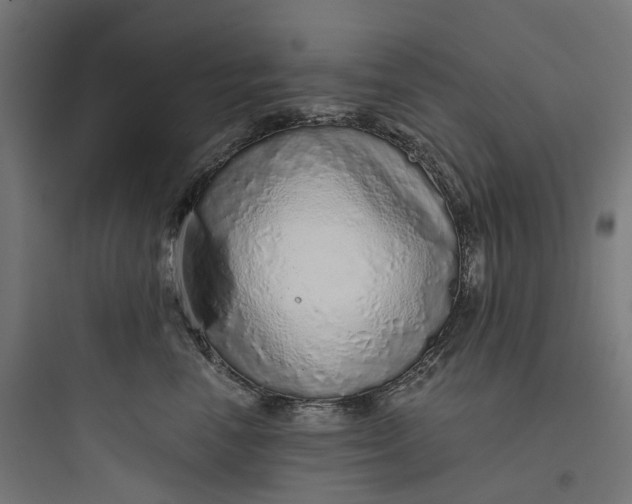 X0000093770666200711061135