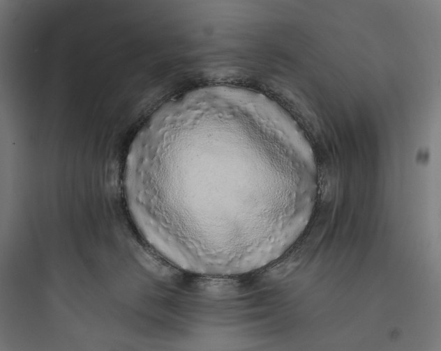 X0000093770670200711061136