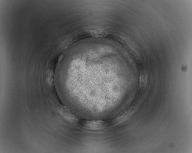 X0000093770671200711061136