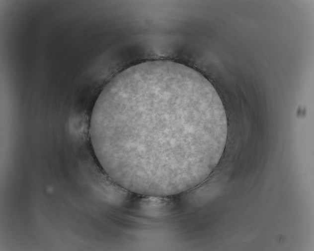 X0000093770672200711061136