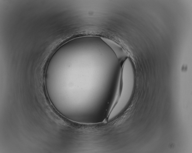 X0000093770673200711061135