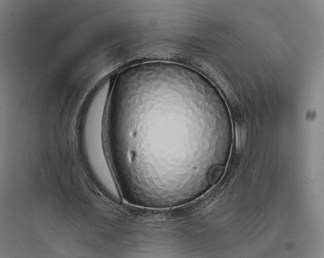 X0000093770675200711061135