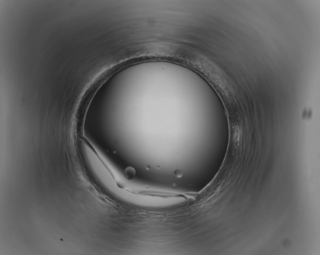 X0000093770676200711061135