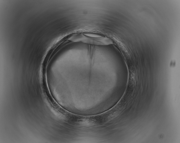 X0000093770678200711061135