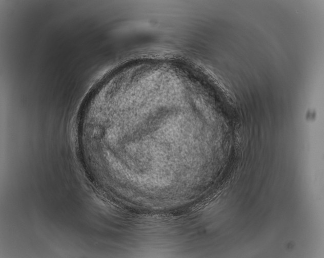 X0000093770679200711061135