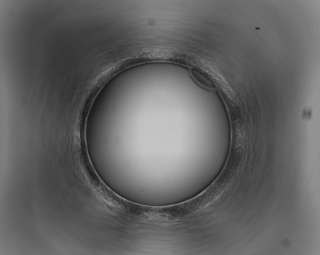 X0000093770681200711061135