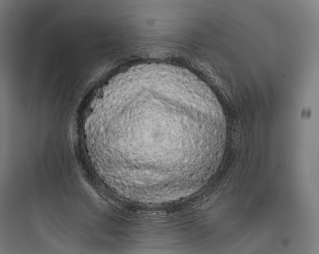 X0000093770683200711061135