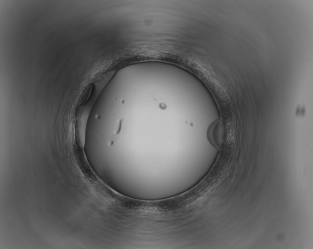 X0000093770685200711061135