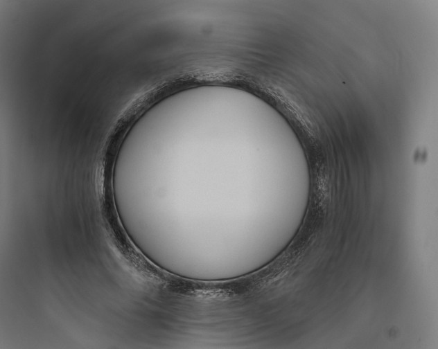 X0000093770686200711061135