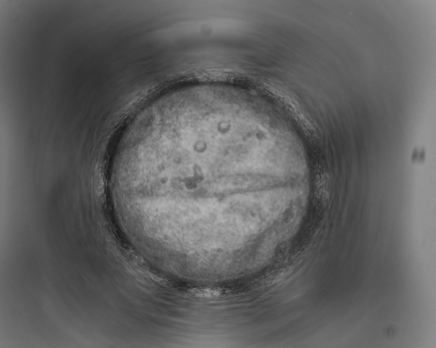 X0000093770687200711061135