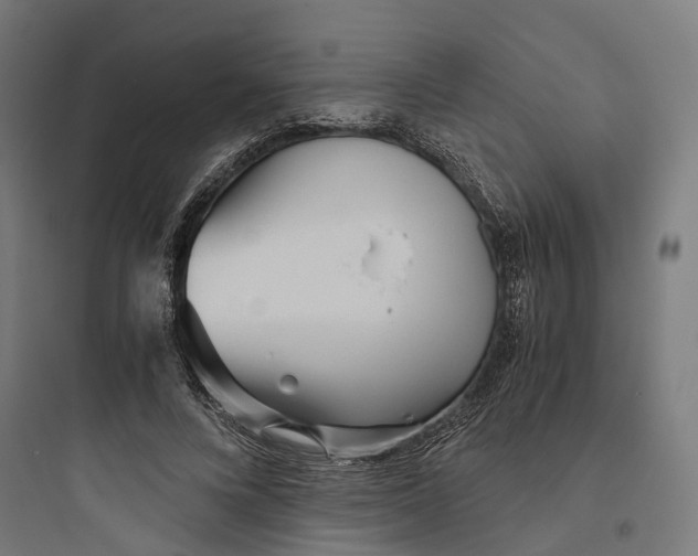 X0000093770688200711061135