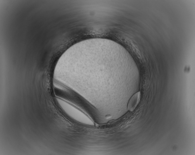 X0000093770689200711061135