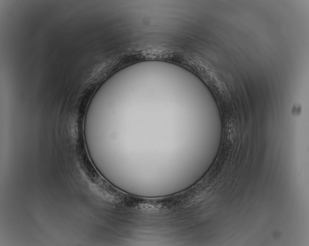 X0000093770690200711061135