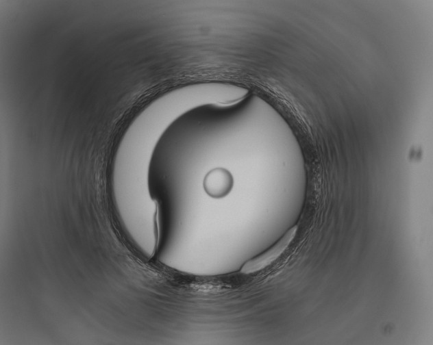 X0000093770693200711061135