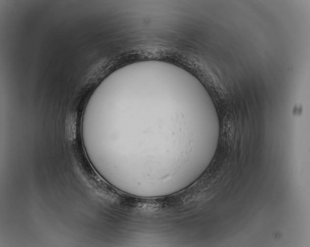 X0000093770694200711061135