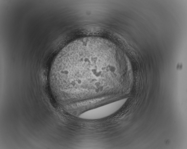 X0000093770695200711061135